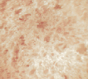 bread_1
