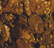 goldflek